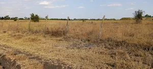 Prime Land for Sale