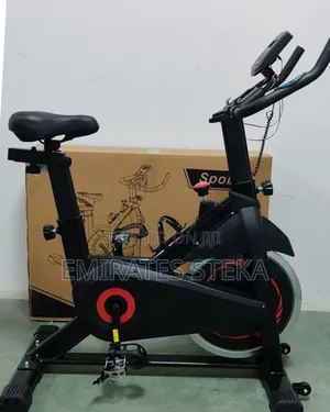 Euromax Fitness Exercise Bike/Spin Bike for Home Cardio Strength