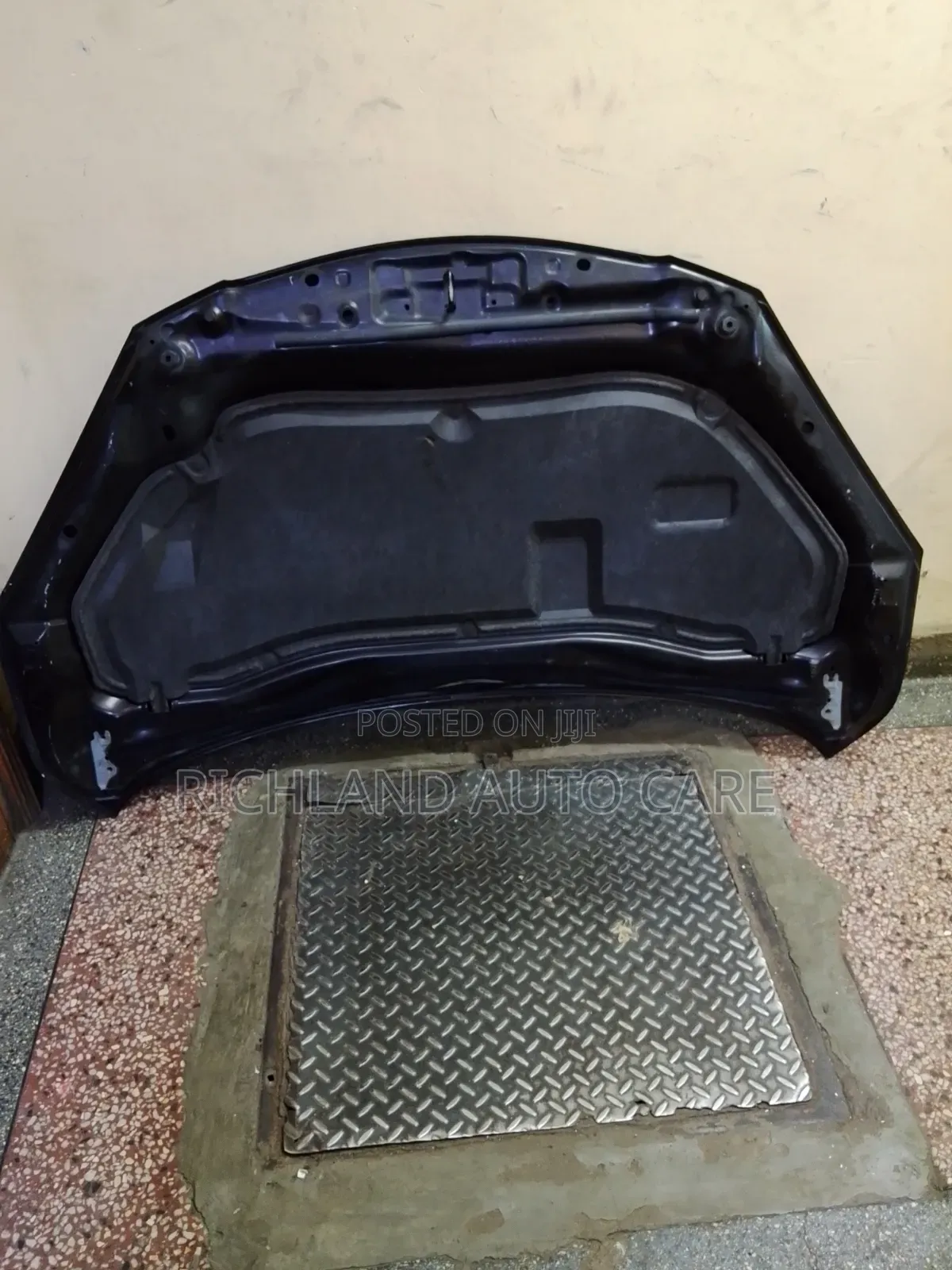 Bonnet for Mazda Demio 2010