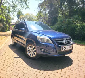 Volkswagen Tiguan 2011 Blue