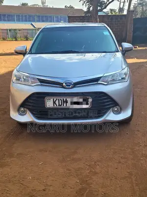 Toyota Axio 2016 Silver