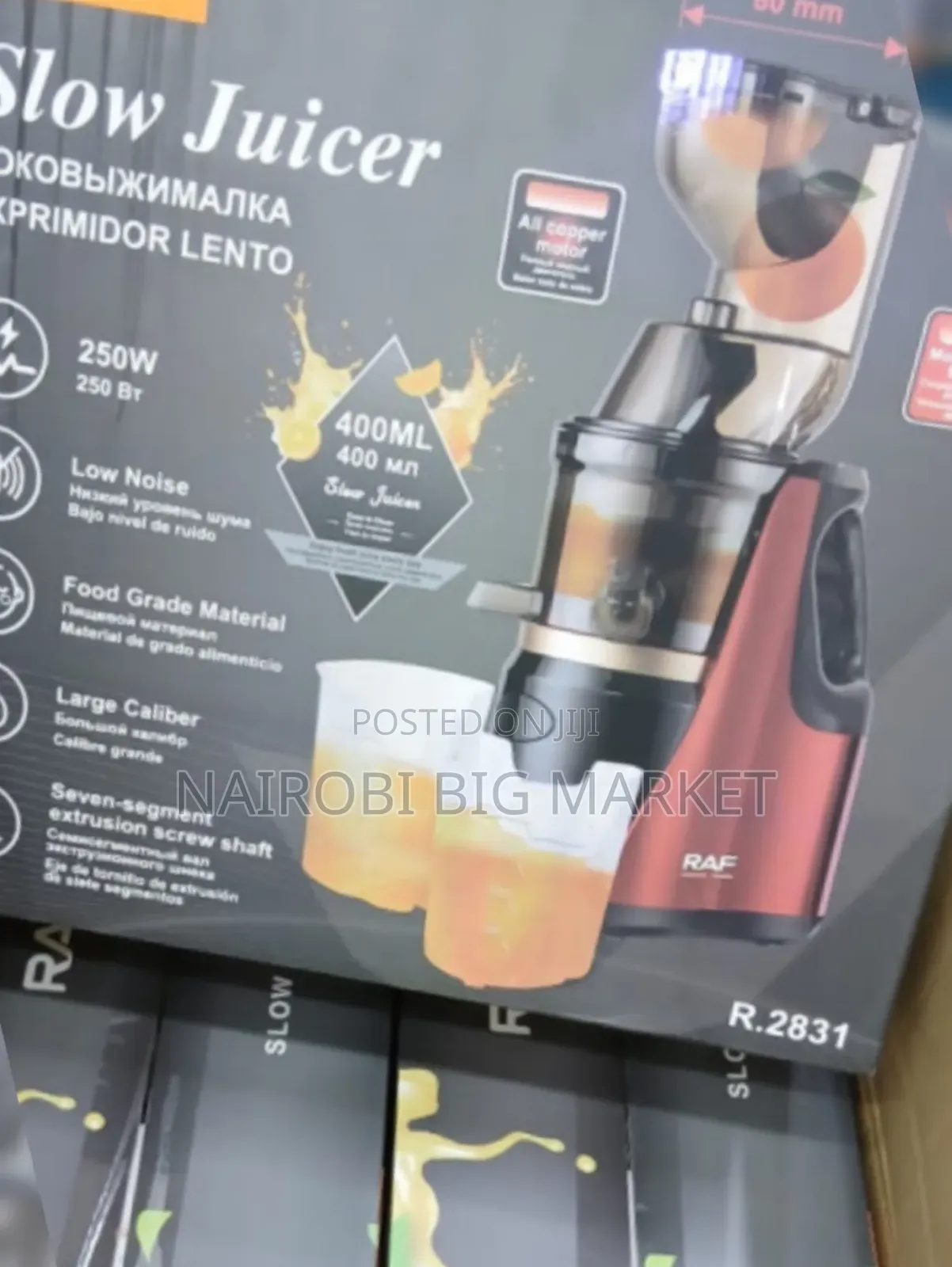 RAF R2831 Slow Juicer