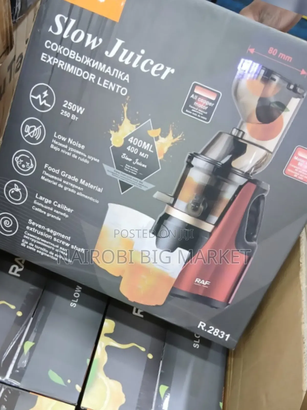 RAF R2831 Slow Juicer