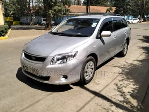 Toyota Corolla Fielder 2009 Silver