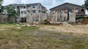 The Building Team
