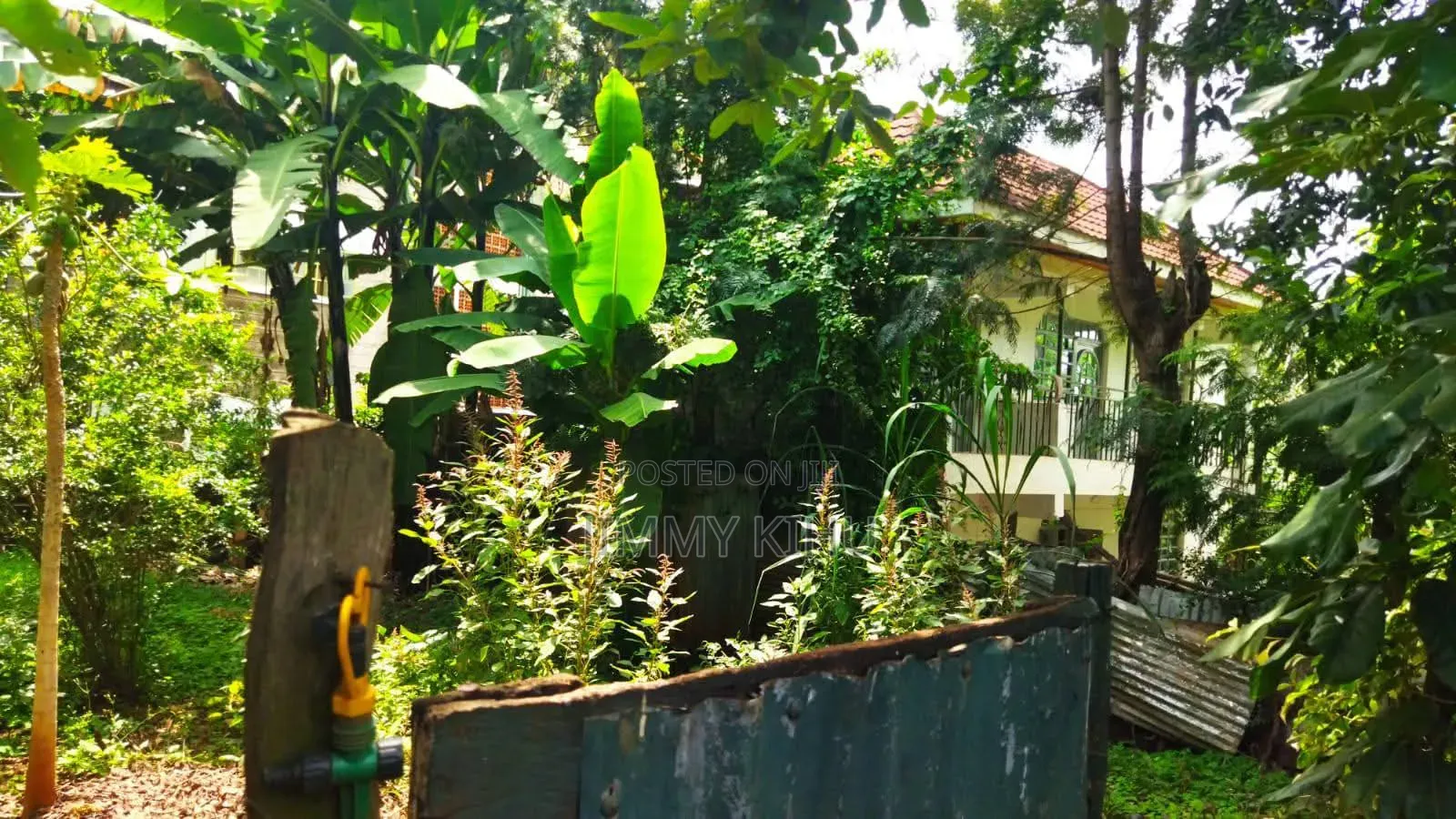 1/2 Acre Shamba(Garden Estate.