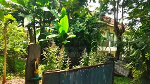 1/2 Acre Shamba(Garden Estate.