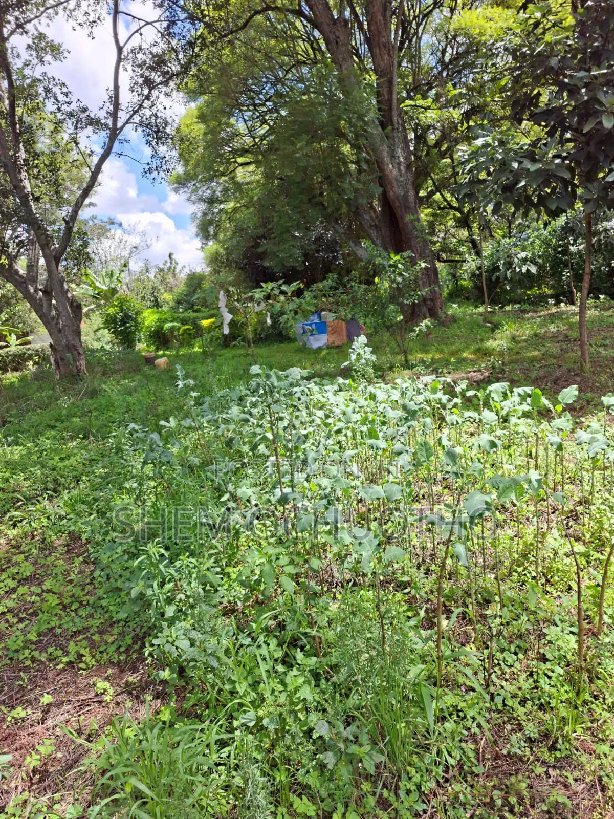 1 Acre on Sale in Karen
