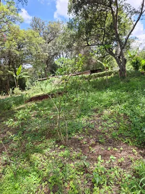 1 Acre on Sale in Karen