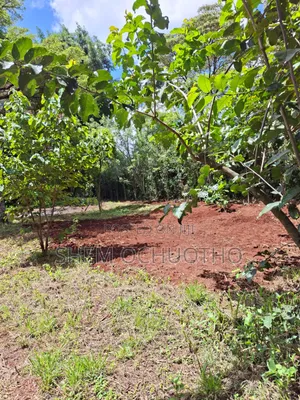 1 Acre on Sale in Karen