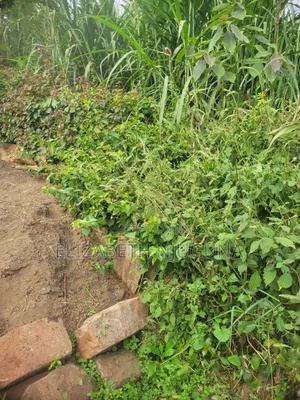 Land for Sale Along Southern Bypass