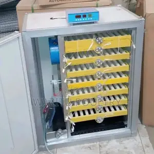 300 Eggs Incubator