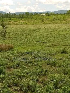 6 Acreas Nanyuki Mukima
