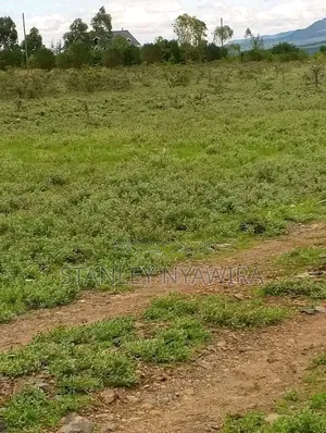 6 Acreas Nanyuki Mukima