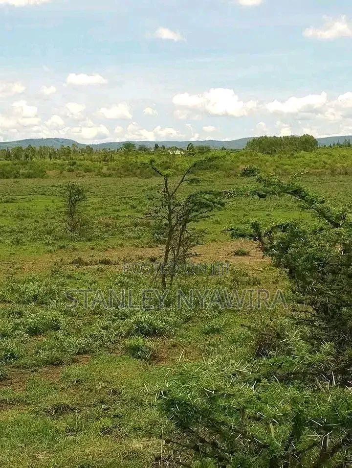 6 Acreas Nanyuki Mukima