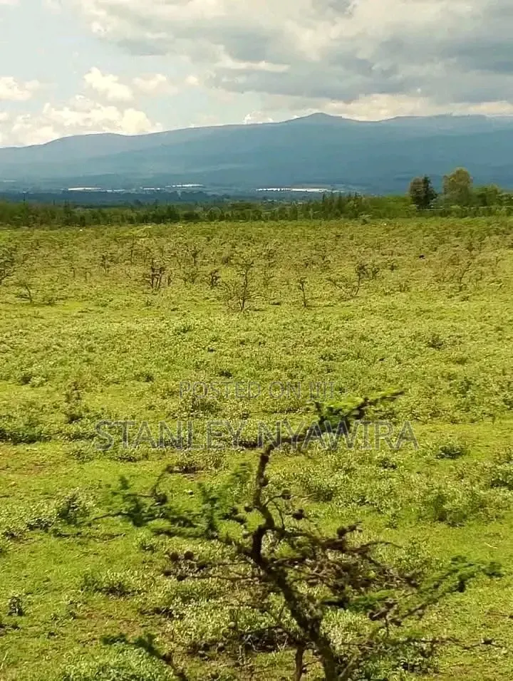 6 Acreas Nanyuki Mukima