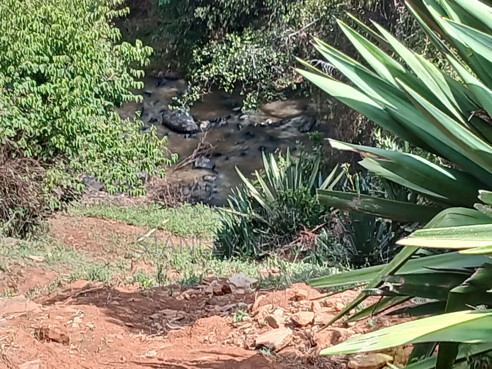 6 Acreas Nanyuki Mukima