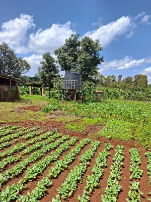 1/2 Acres Plots on Sale in Karen