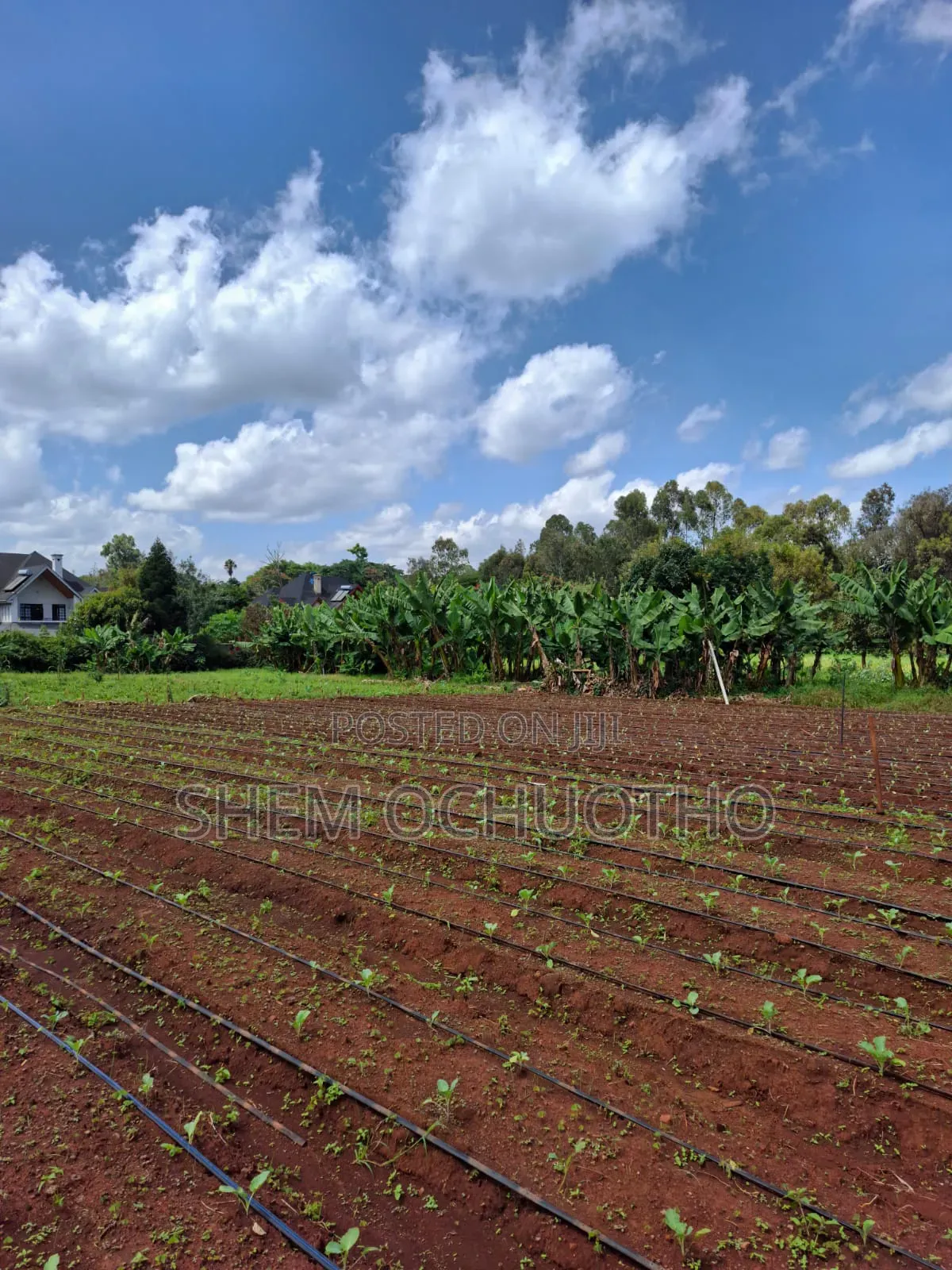 1/2 Acres Plots on Sale in Karen