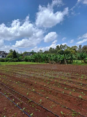 1/2 Acres Plots on Sale in Karen