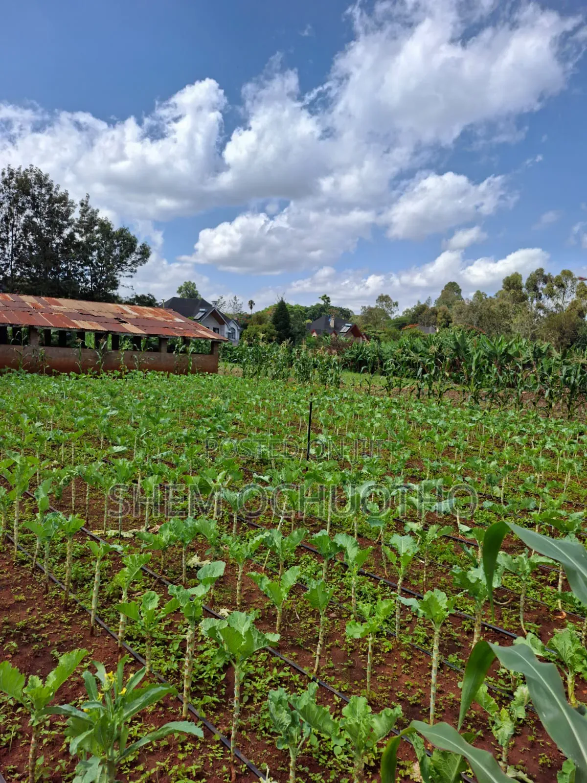 1/2 Acres Plots on Sale in Karen
