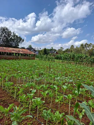 1/2 Acres Plots on Sale in Karen