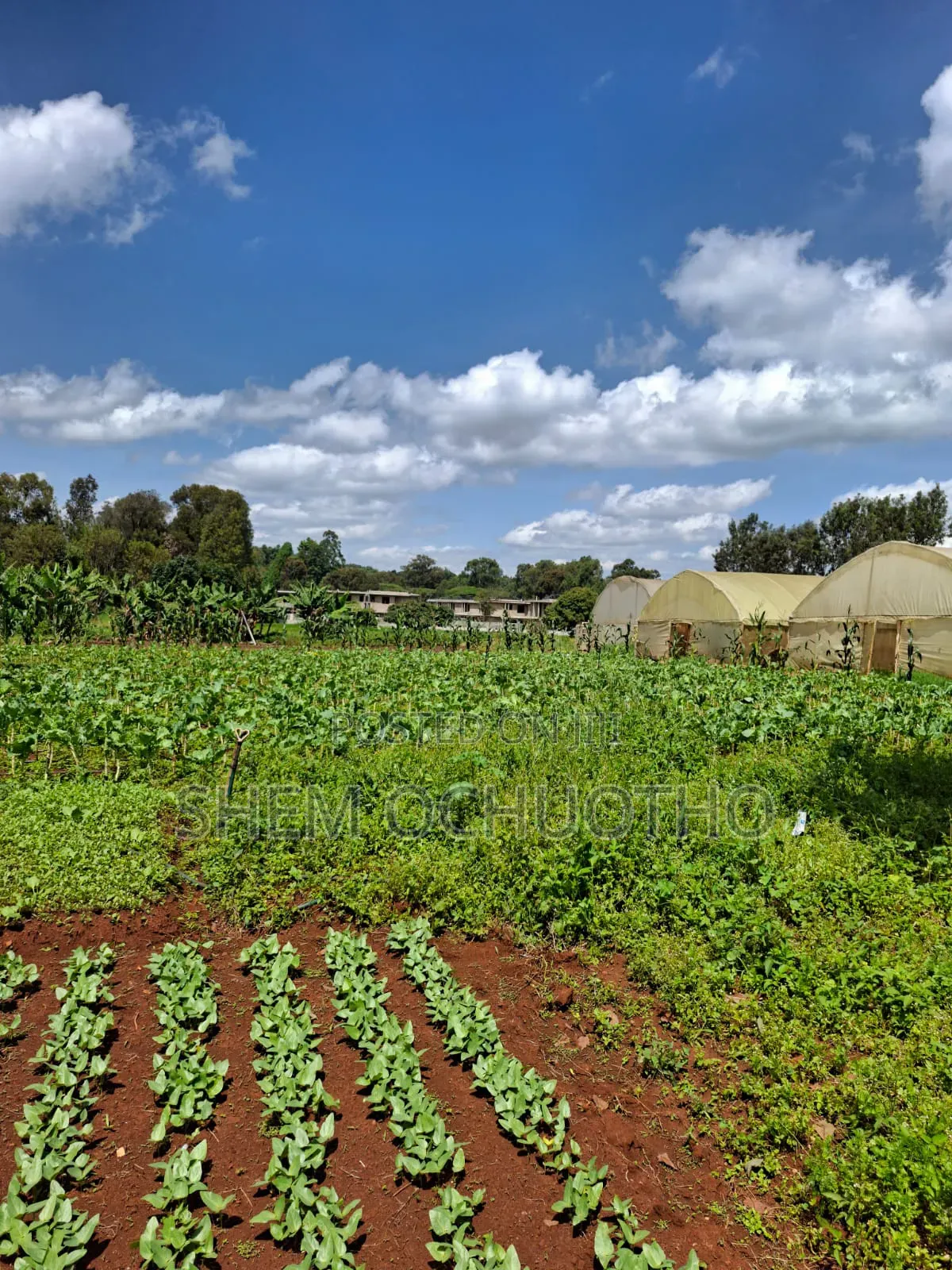 1/2 Acres Plots on Sale in Karen