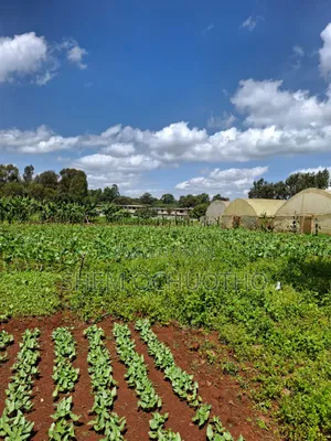 1/2 Acres Plots on Sale in Karen