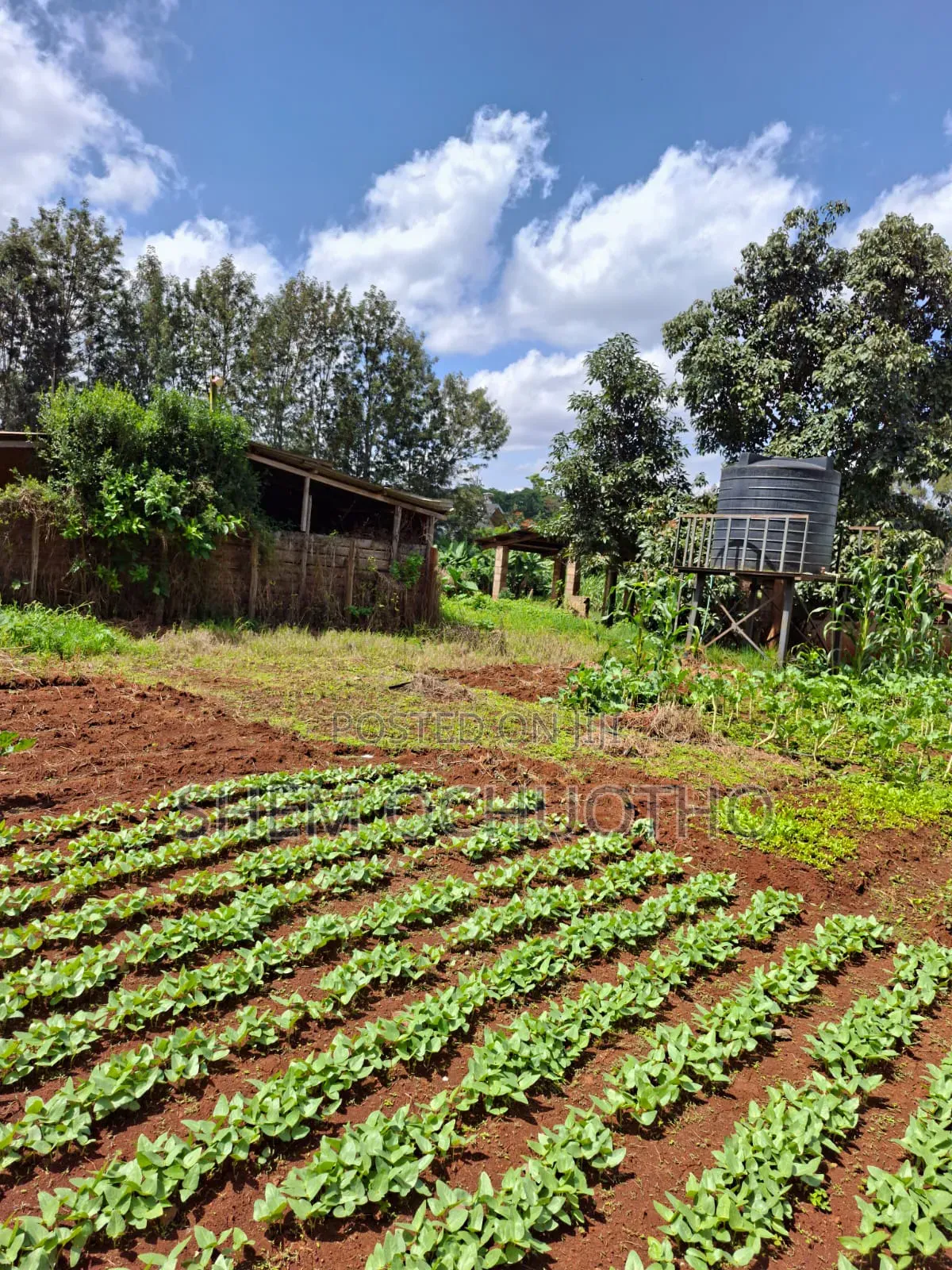 1/2 Acres Plots on Sale in Karen