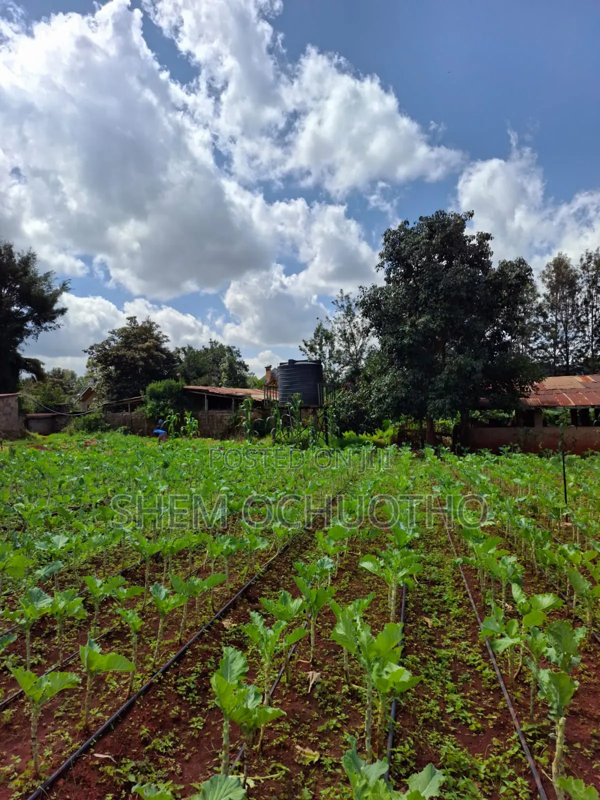 1/2 Acres Plots on Sale in Karen
