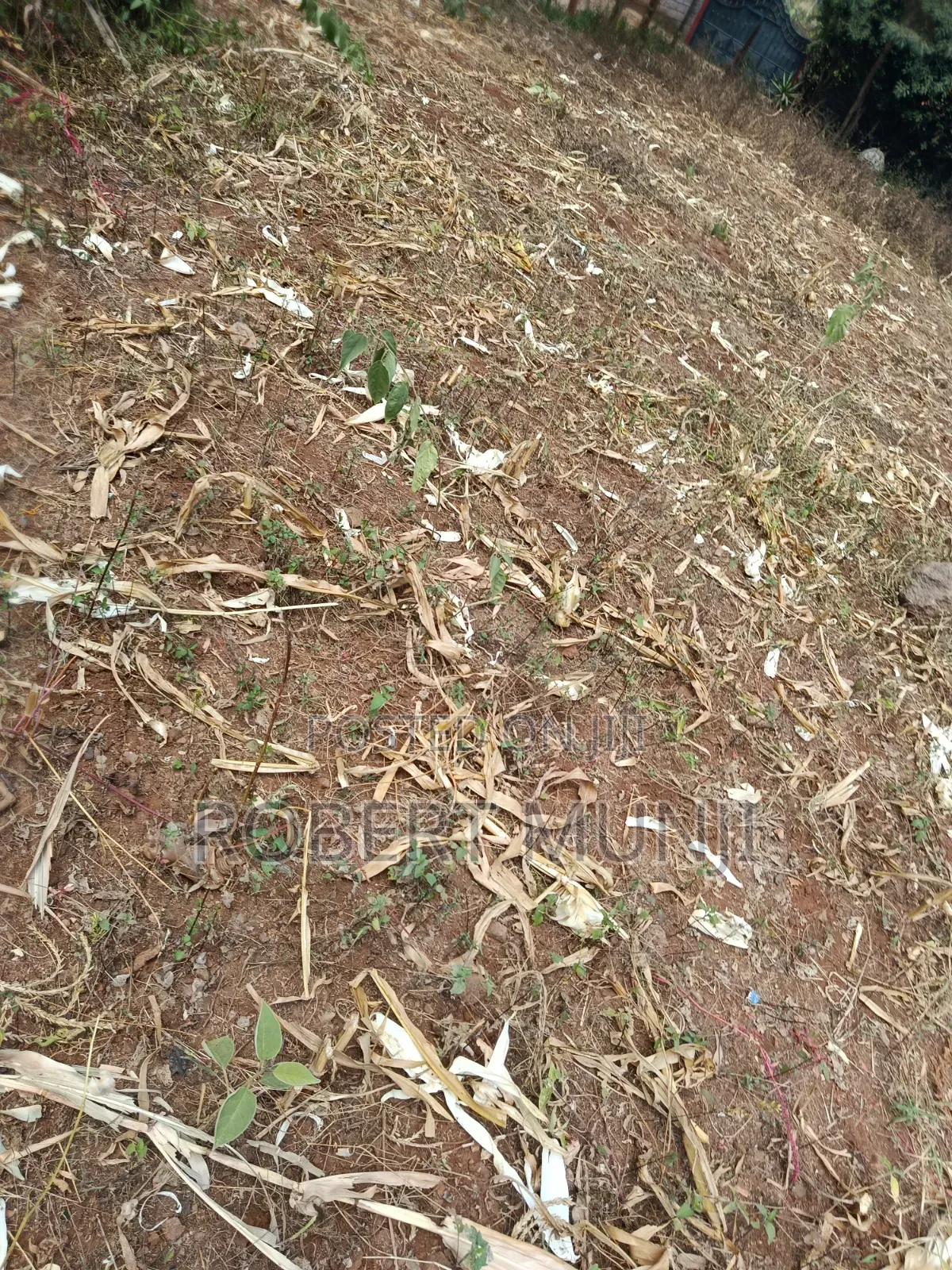 1/4 Acre of Land for Sale at Kibiko