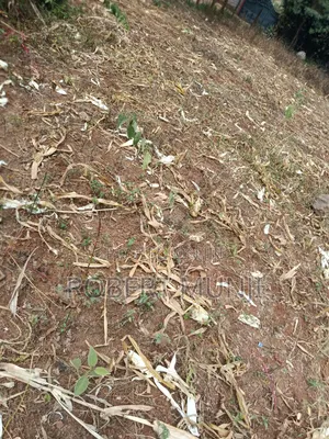 1/4 Acre of Land for Sale at Kibiko