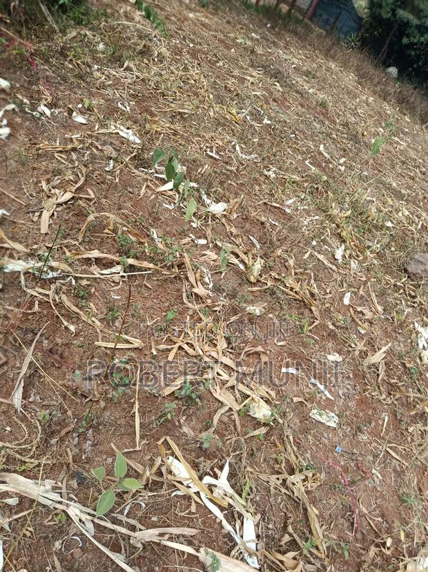 1/4 Acre of Land for Sale at Kibiko