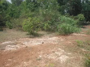 1 Acre for Sale in Msambweni - Just 2 Minutes From the Ocean!