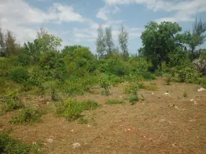 1 Acre for Sale in Msambweni - Just 2 Minutes From the Ocean!