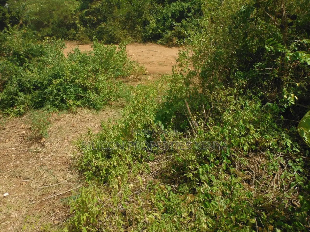 1 Acre for Sale in Msambweni - Just 2 Minutes From the Ocean!