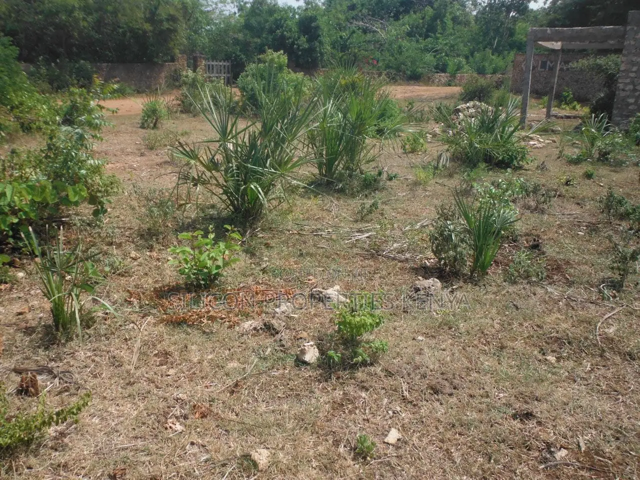 1 Acre for Sale in Msambweni - Just 2 Minutes From the Ocean!