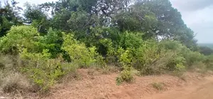 1 Acre for Sale in Matuga