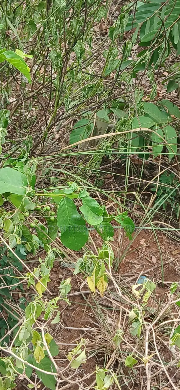 1 Acre for Sale in Matuga