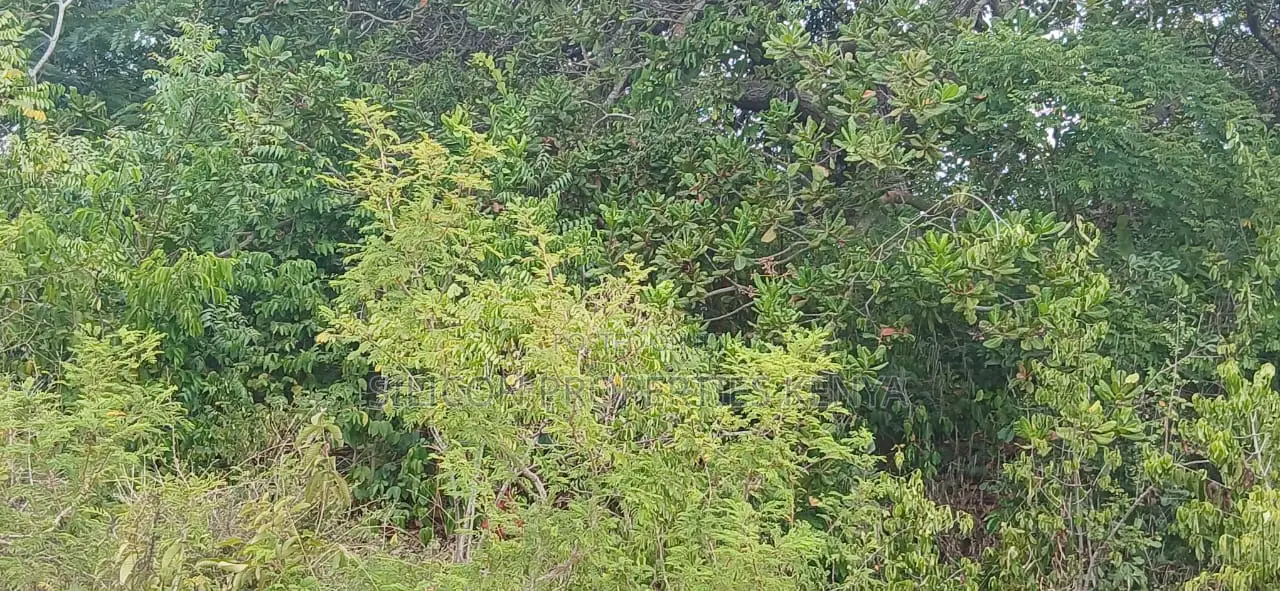 1 Acre for Sale in Matuga
