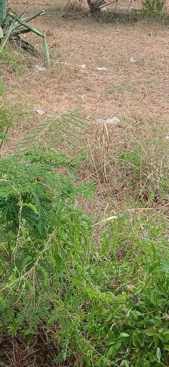 1 Acre for Sale in Matuga