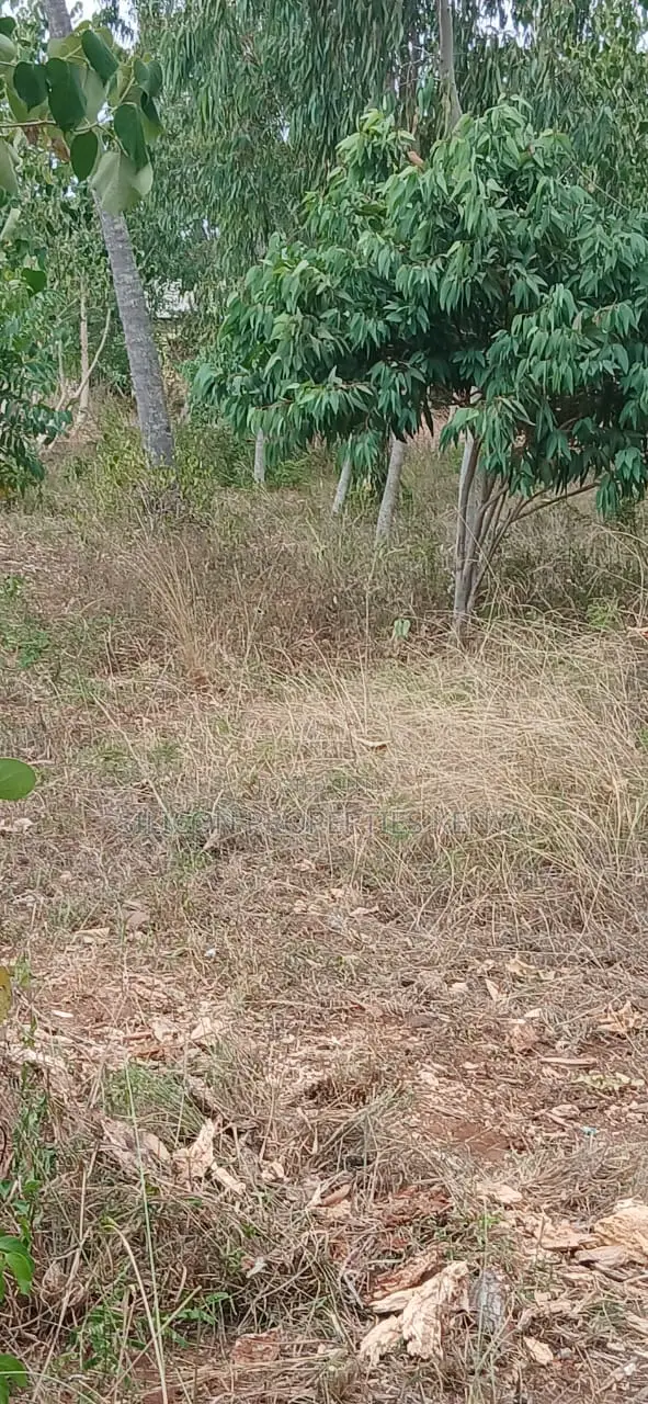 1 Acre for Sale in Matuga