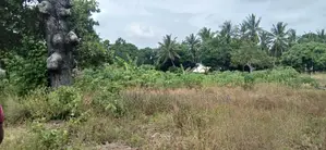 Another 1 Acre for Sale in Matuga