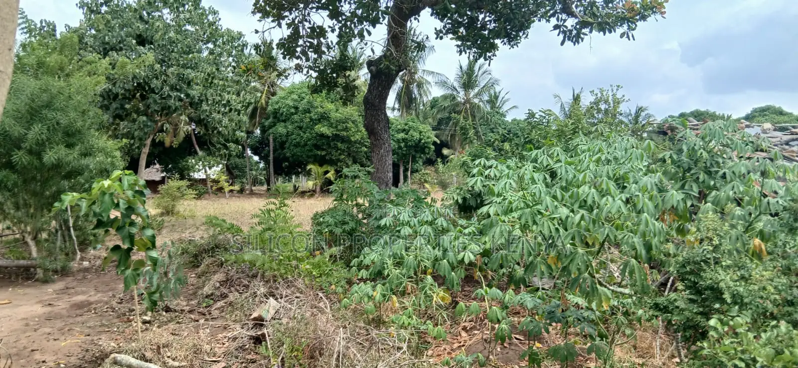 Another 1 Acre for Sale in Matuga
