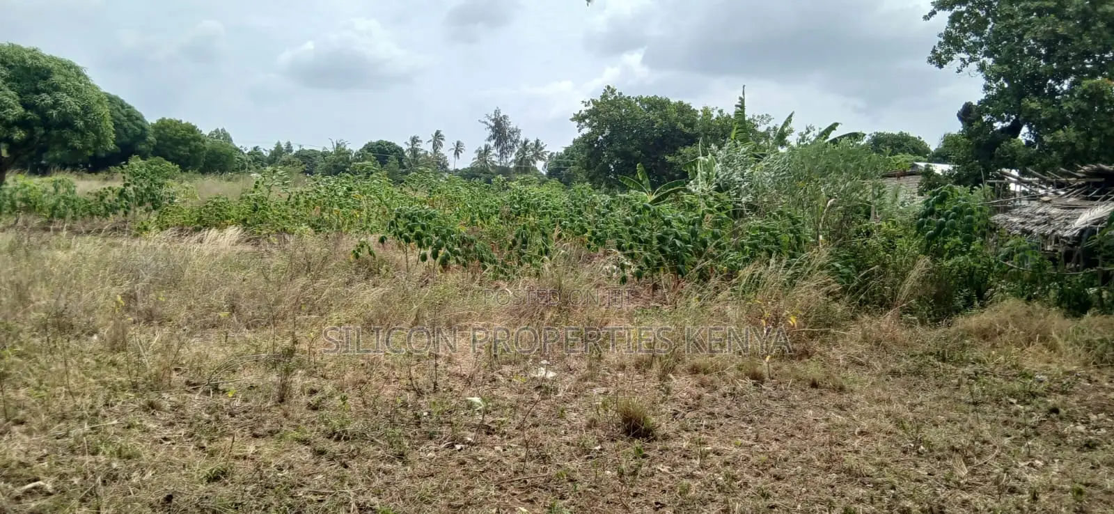 Another 1 Acre for Sale in Matuga