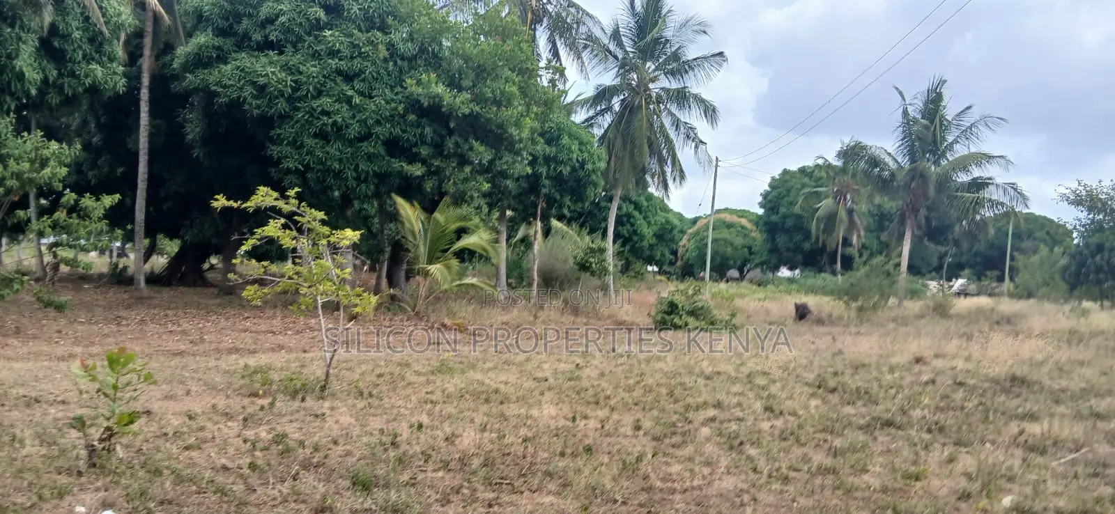 Another 1 Acre for Sale in Matuga