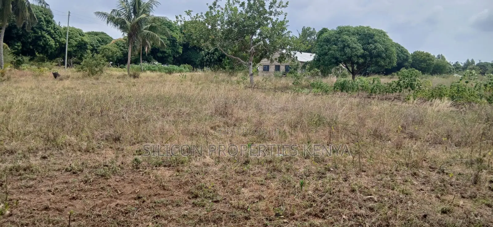 Another 1 Acre for Sale in Matuga