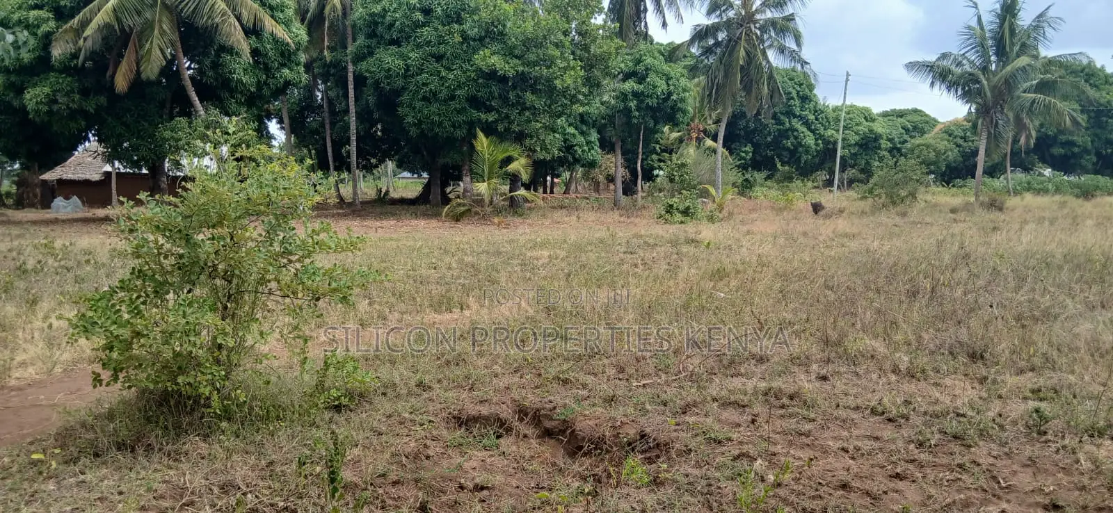 Another 1 Acre for Sale in Matuga