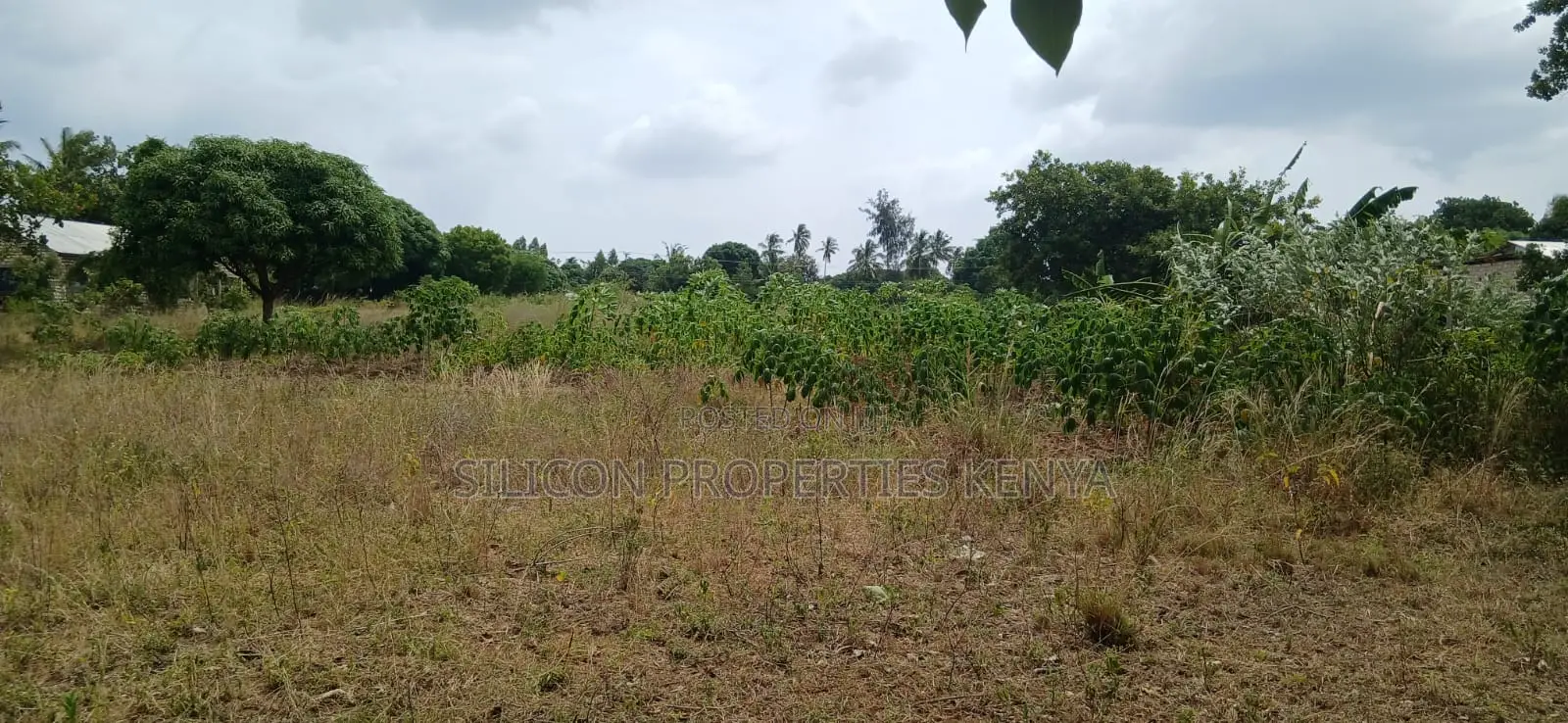 Another 1 Acre for Sale in Matuga