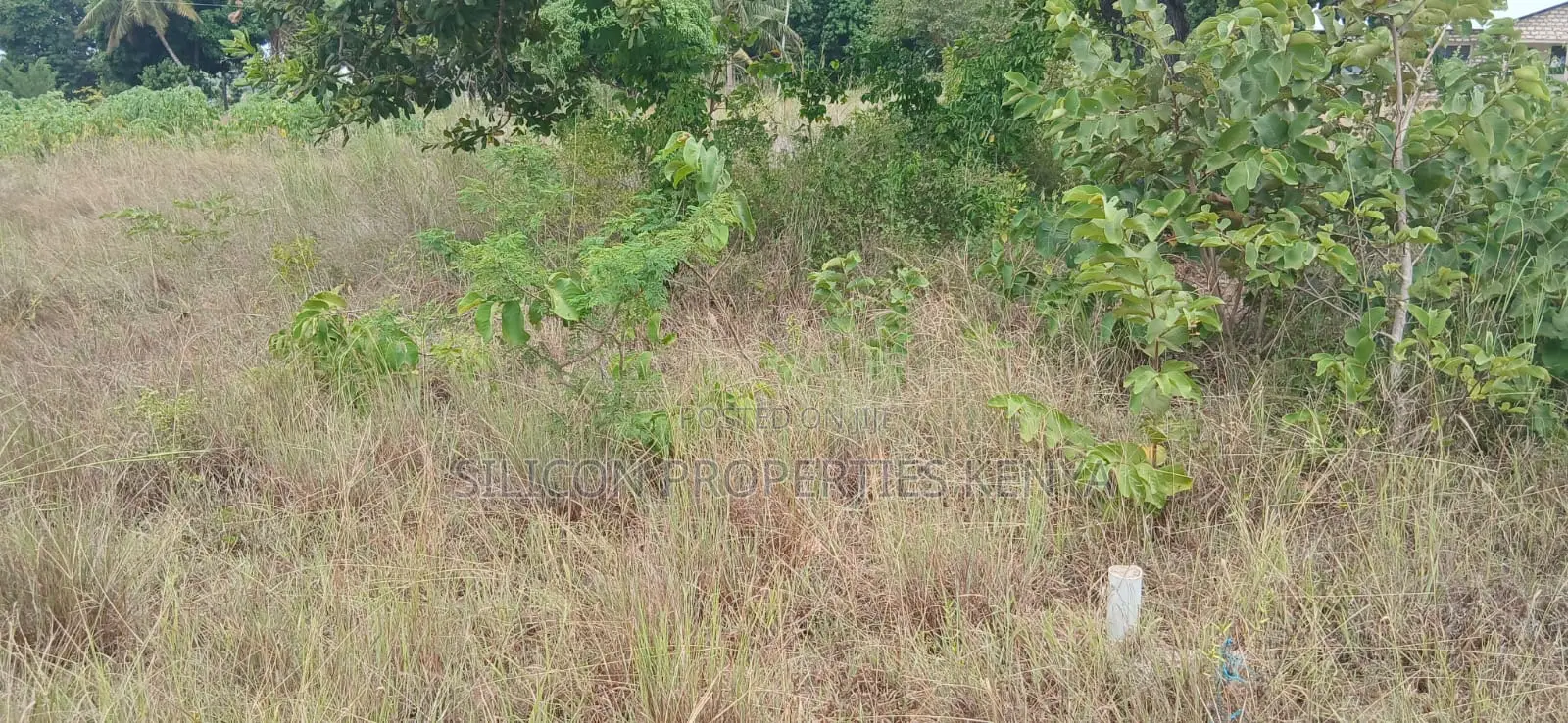 Another 1 Acre for Sale in Matuga